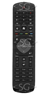Пульт дистанционного управления для PHILIPS 996590020569 (996590009989, 398GR8BDANEPHH, HOF14L395GPD21) Пульт дистанционного управления для PHILIPS 996590020569 (996590009989, 398GR8BDANEPHH, HOF14L395GPD21)